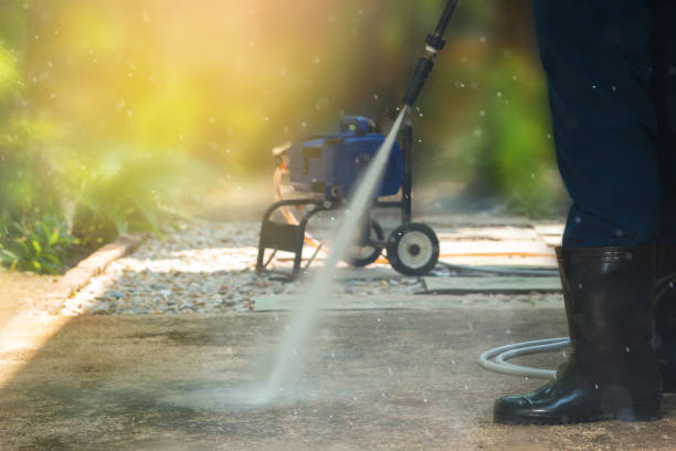 Animal Enclosure Cleaning in Carver, MN